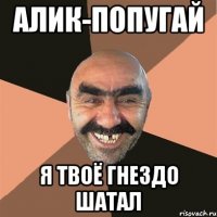 алик-попугай я твоё гнездо шатал