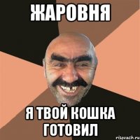 жаровня я твой кошка готовил