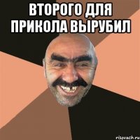 второго для прикола вырубил 