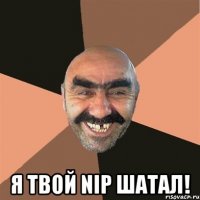  я твой nip шатал!