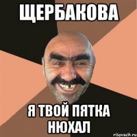 щербакова я твой пятка нюхал