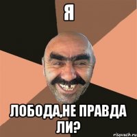 я лобода,не правда ли?