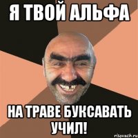 я твой альфа на траве буксавать учил!