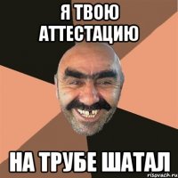 я твою аттестацию на трубе шатал