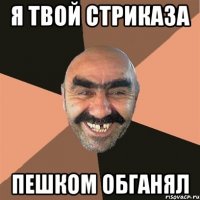 я твой стриказа пешком обганял