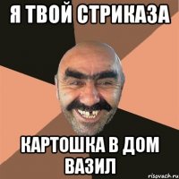 я твой стриказа картошка в дом вазил