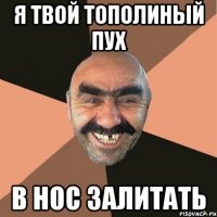 я твой тополиный пух в нос залитать