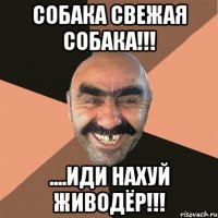 собака свежая собака!!! ....иди нахуй живодёр!!!