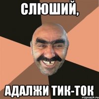 слюший, адалжи тик-ток