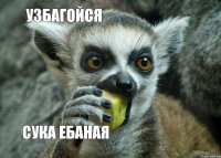 узбагойся сука ебаная