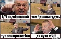 ІДУ надвір весной там бджоли гудуть тут оси прилетіли да ну на х*й!!