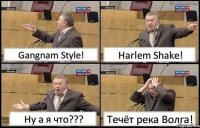 Gangnam Style! Harlem Shake! Ну а я что??? Течёт река Волга!