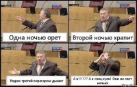 Одна ночью орет Второй ночью храпит Рядом третий перегаром дышит А я!!!??? А я сова,хули! Они не спят ночью!