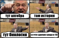 тут алгебра там история тут биология а я что сделаю среда в 11А