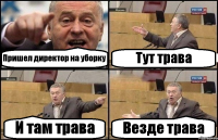 Пришел директор на уборку Тут трава И там трава Везде трава