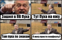 Зашел в ПВ Пуха Тут Пуха на ежу Там пуха по знакам Я могу просто поафкать?