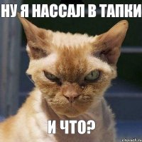 Ну я нассал в тапки И что?