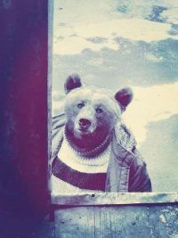 Создать мем медведь сосед