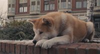 Создать мем оеав