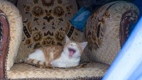 Создать мем заберите пожалуйста меняот этого