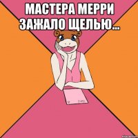 мастера мерри зажало щелью... 