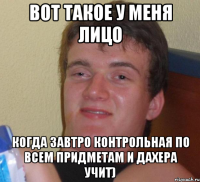 вот такое у меня лицо когда завтро контрольная по всем придметам и дахера учит)