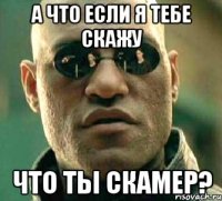 а что если я тебе скажу что ты скамер?