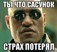 ты что сасунок страх потерял