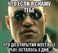 что если я скажу тебе что до открытия west role play, осталось 3 дня.