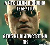 а что если я скажу тебе,что gta5 не выпустят на пк