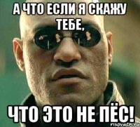 а что если я скажу тебе, что это не пёс!