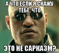 а что если я скажу тебе, что это не сарказм?