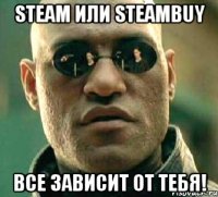 steam или steambuy все зависит от тебя!