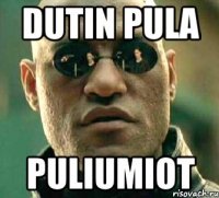 dutin pula puliumiot