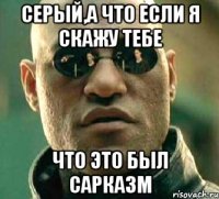 серый,а что если я скажу тебе что это был сарказм