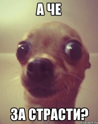 а че за страсти?