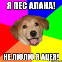 я пес алана! не люлю я ацея!