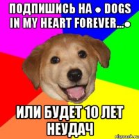 подпишись на ● dogs in my heart forever...● или будет 10 лет неудач