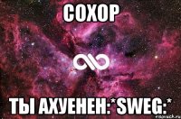 сохор ты ахуенен:*sweg:*