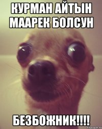 курман айтын маарек болсун безбожник!!!