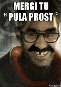 mergi tu pula prost 