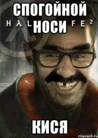 спогойной носи кися