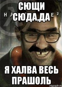 сющи сюда,да я халва весь прашоль