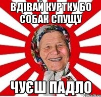 вдівай куртку бо собак спущу чуєш падло