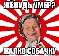 жёлудь умер? жалко собачку