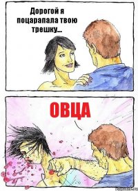 Дорогой я поцарапала твою трешку... Овца