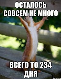 осталось совсем не много всего то 234 дня