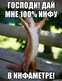 господи! дай мне 100% инфу в инфаметре!