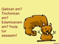 Qalesan am? Tinchmisan am? Eslamisanam am? Yozip tur aaaaaam!