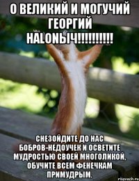 о великий и могучий георгий halonыч!!! снезойдите до нас бобров-недоучек и осветите мудростью своей многоликой, обучите всем фенечкам примудрым.